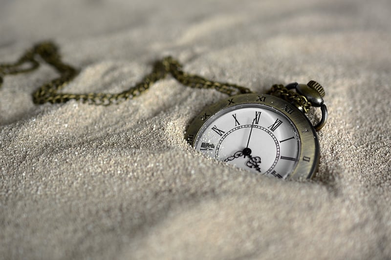 Time Traveler's Delights